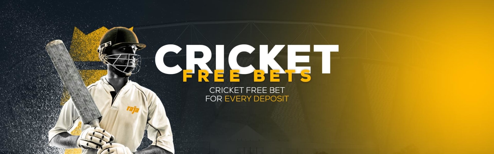 Welcome to Rajabets